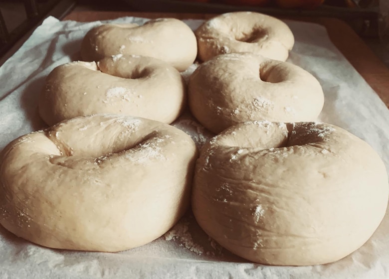 Shaped bagels proving before being boiled for an authentic bagel flavour